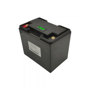 დაბალი ტემპერატურა 48V 200AH თვითგადარჩენილი ფუნქციით